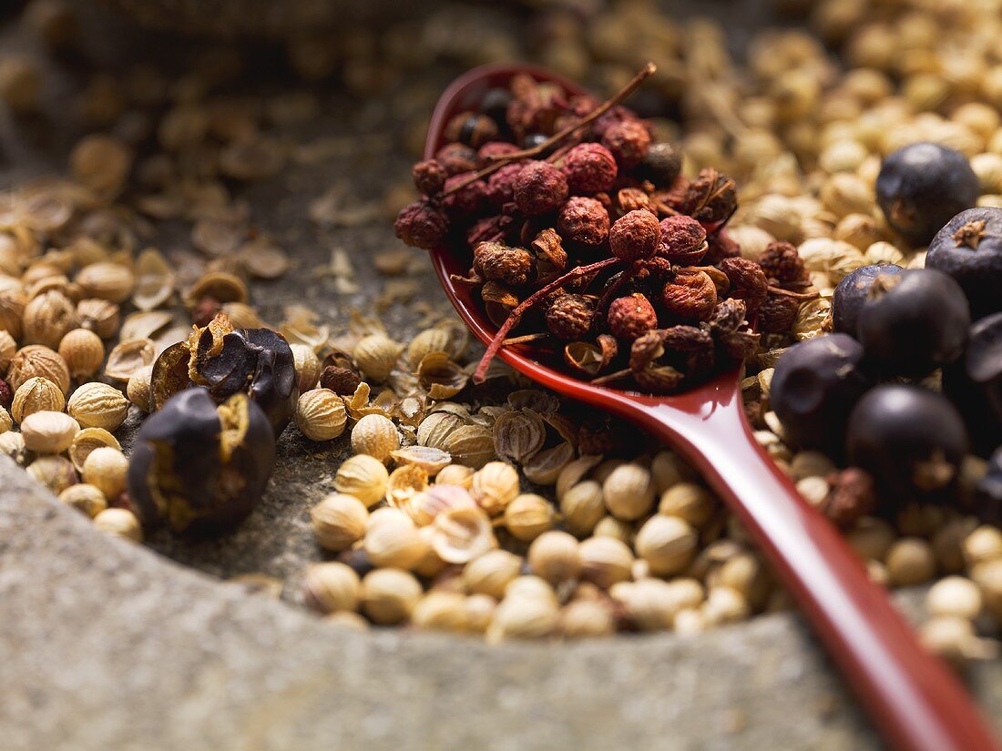 Gewürze für Geflügel und Wild (Koriandersamen, Pfefferkörner und Wacholderbeeren)