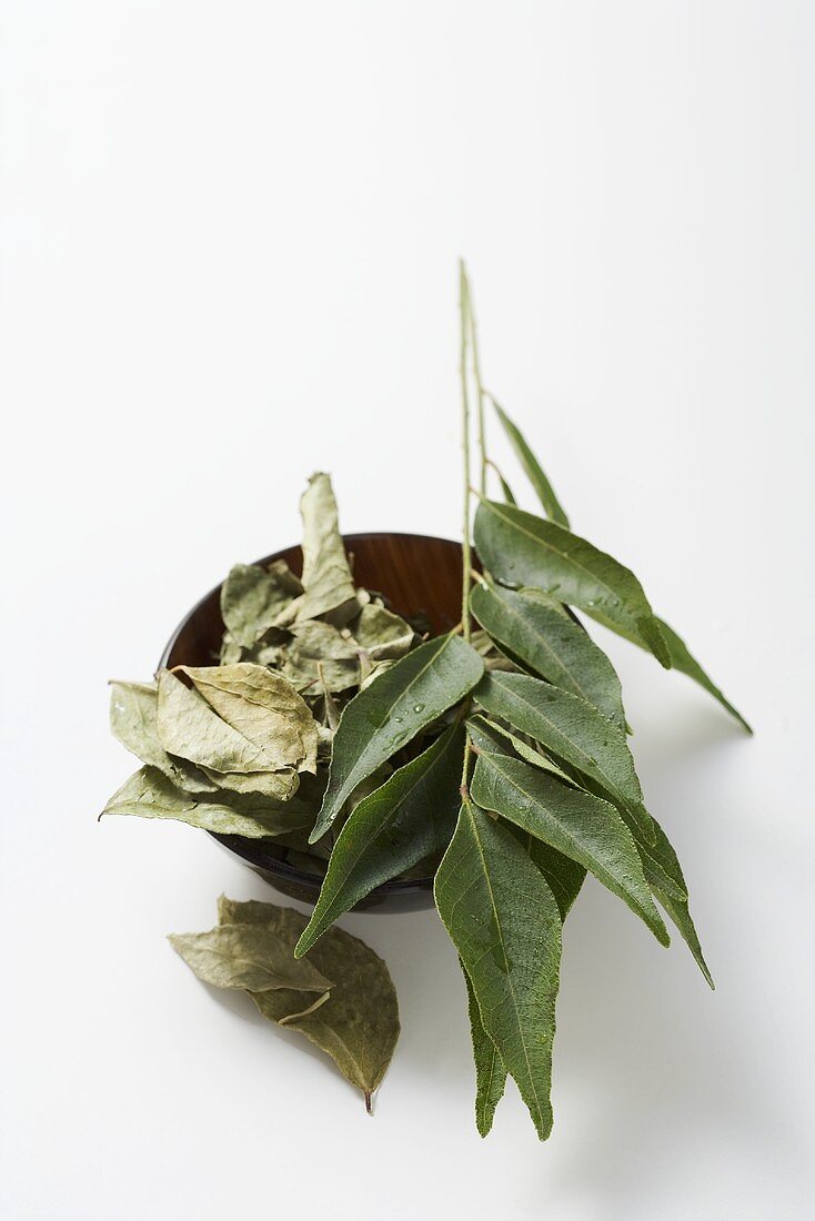 Curry leaves, fresh and dried