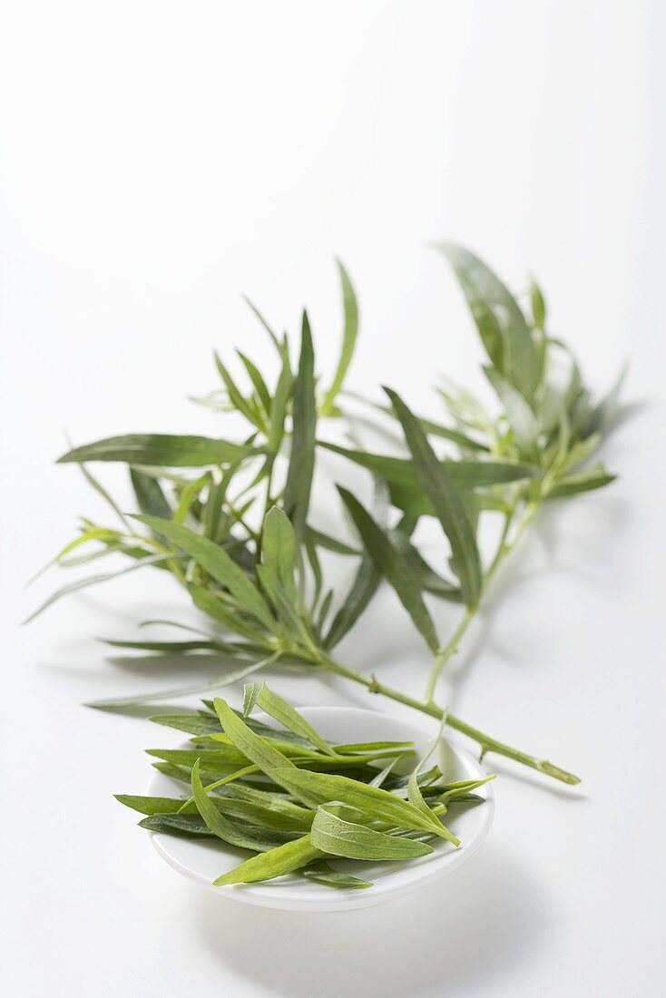 Tarragon