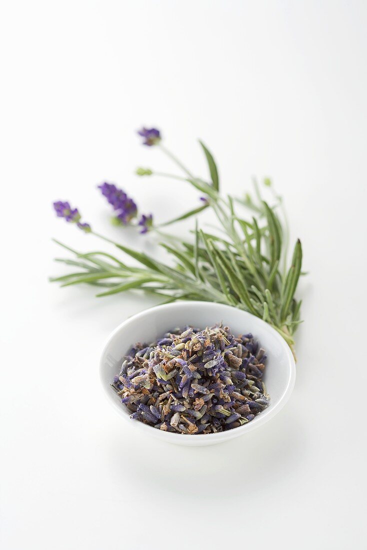Fresh lavender and dried lavender flowers
