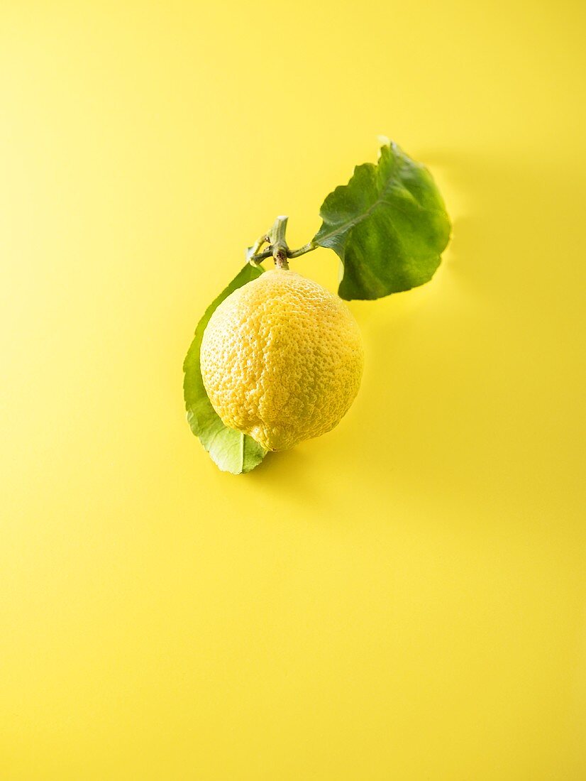 A lemon with leaves