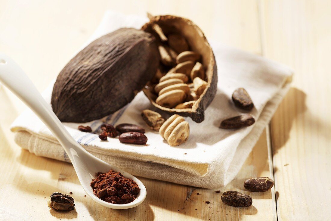 Cocoa fruit, cocoa beans and cocoa powder