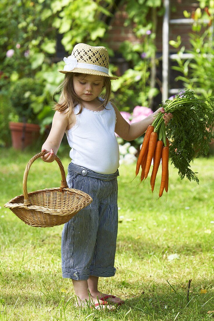 Kleines Mädchen hält Korb und frische Möhren im Garten