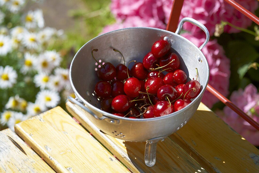 Fresh cherries in a colander on a wooden table