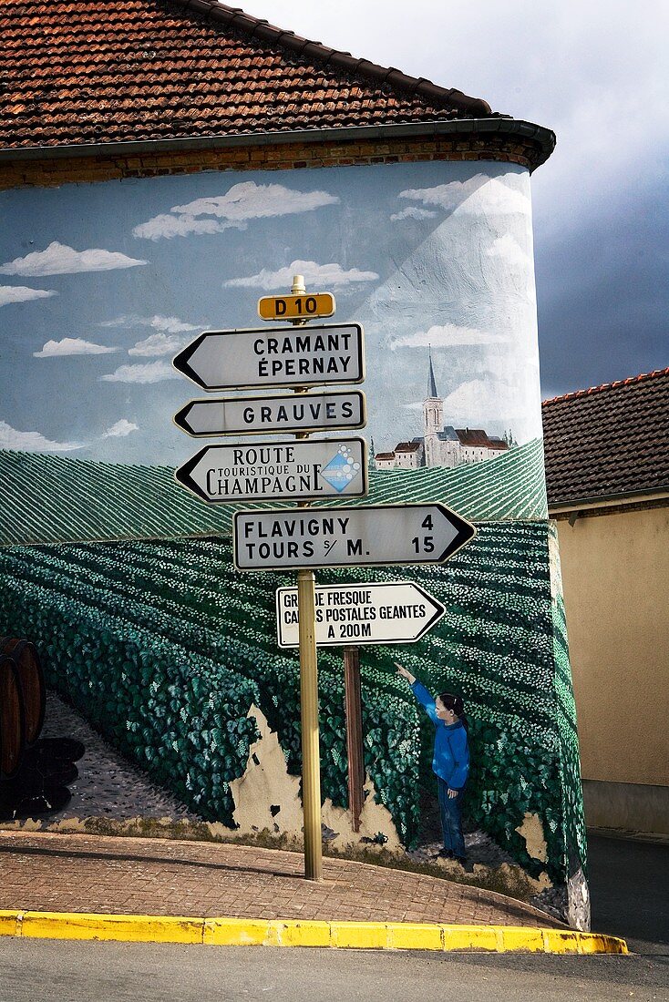 Strassenschilder in der Champagne, Frankreich