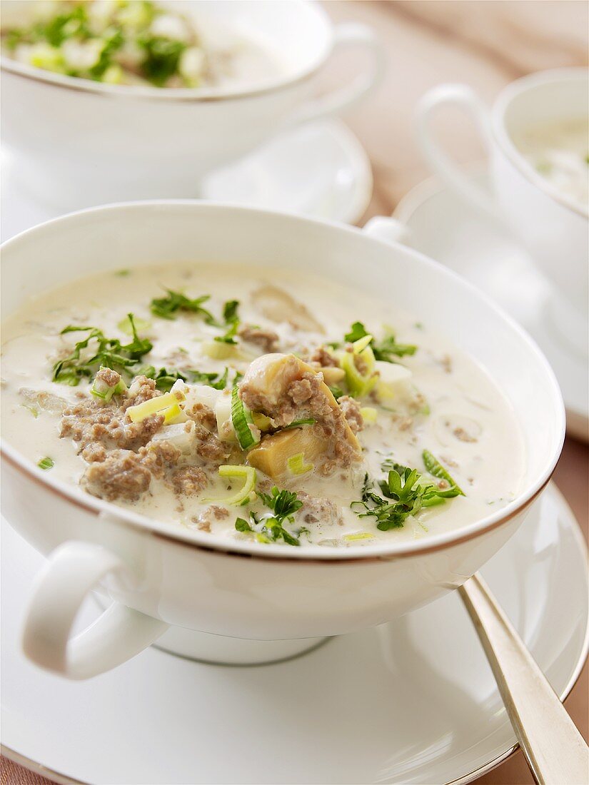 Cheese and leek soup with minced meat