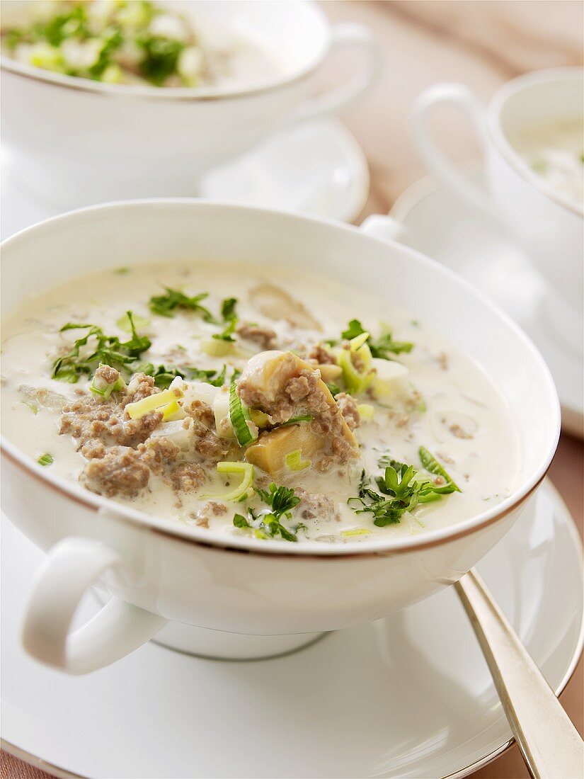 Käse-Porree-Suppe mit Hackfleisch