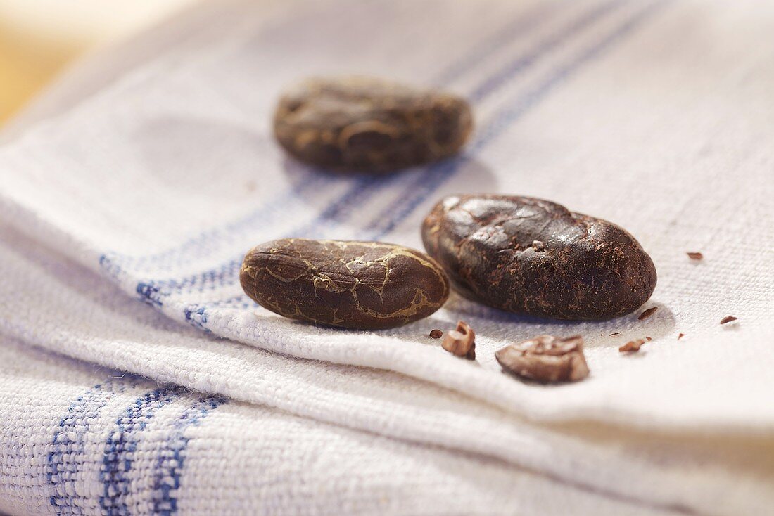 Cocoa beans on a cloth