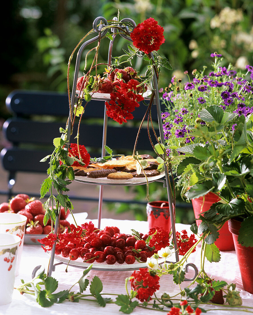 Tiered stand with cherries, biscuits and verbena flowers