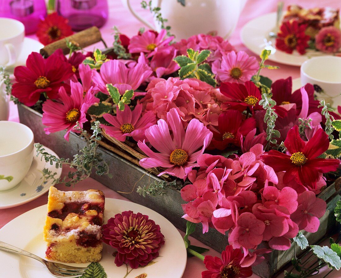 Metal tray with cosmos, hydrangeas, mint and dahlia