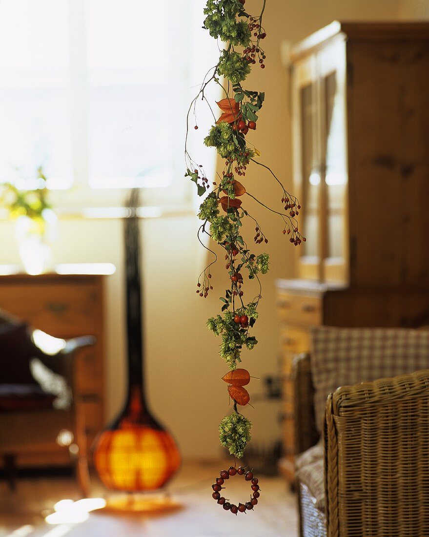 Garland of hops, rose hips and Chinese lanterns