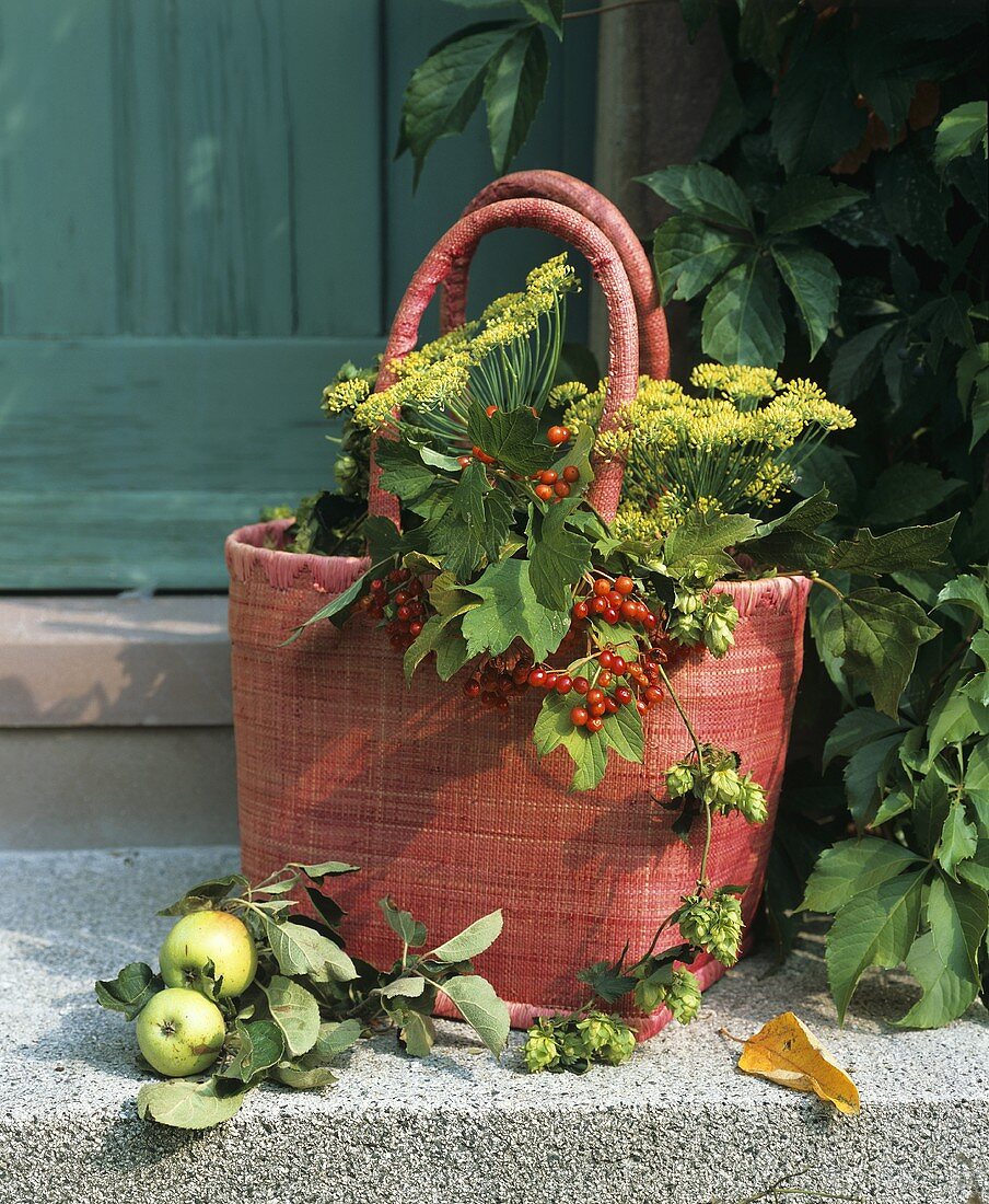 Bag filled with dill, Viburnum berries and hops