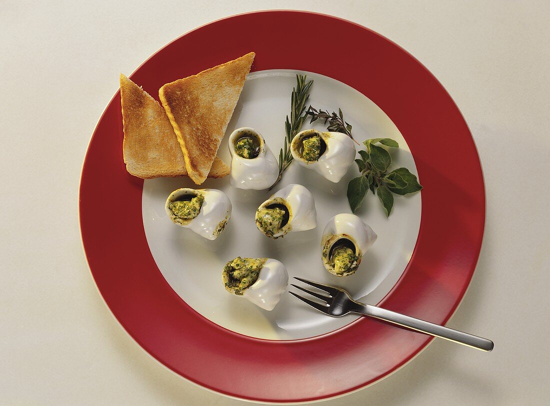 Snails au gratin in Garlic Butter