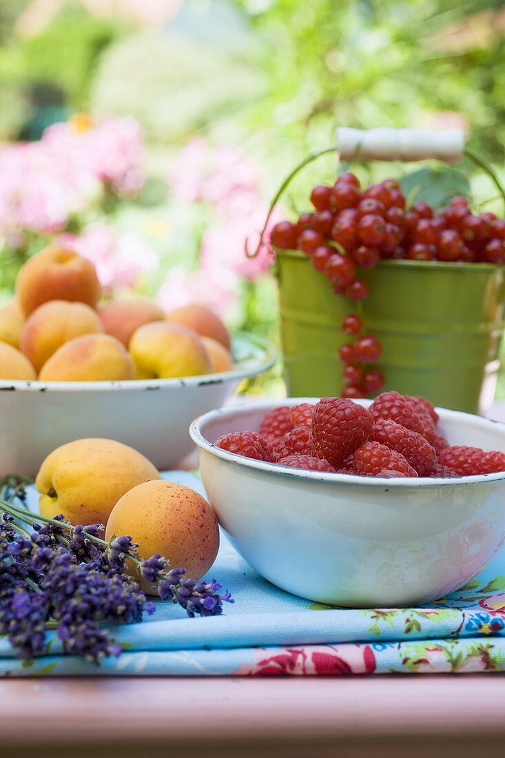 Raspberries, redcurrants and apricots on a garden table