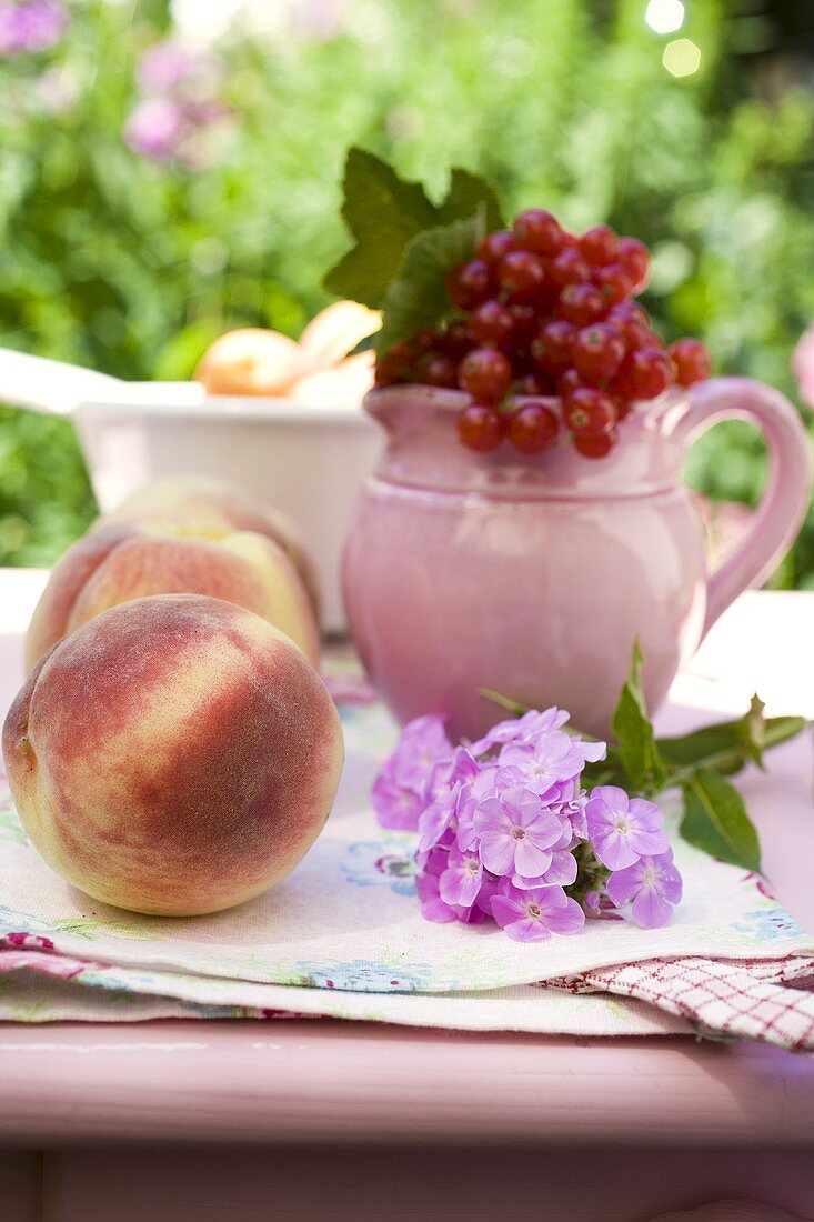 Pfirsiche und rote Johannisbeeren auf einem Tisch im Garten