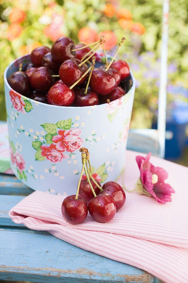 Fresh cherries on a garden table