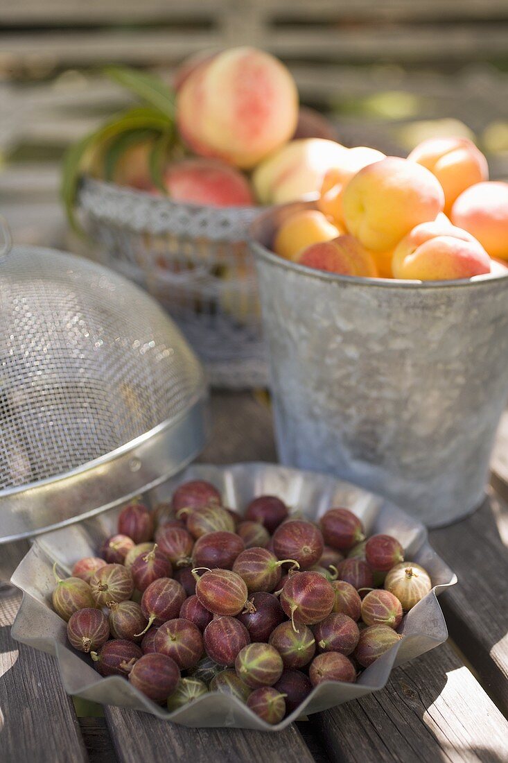 Frische Stachelbeeren, Aprikosen & Pfirsiche auf Gartentisch