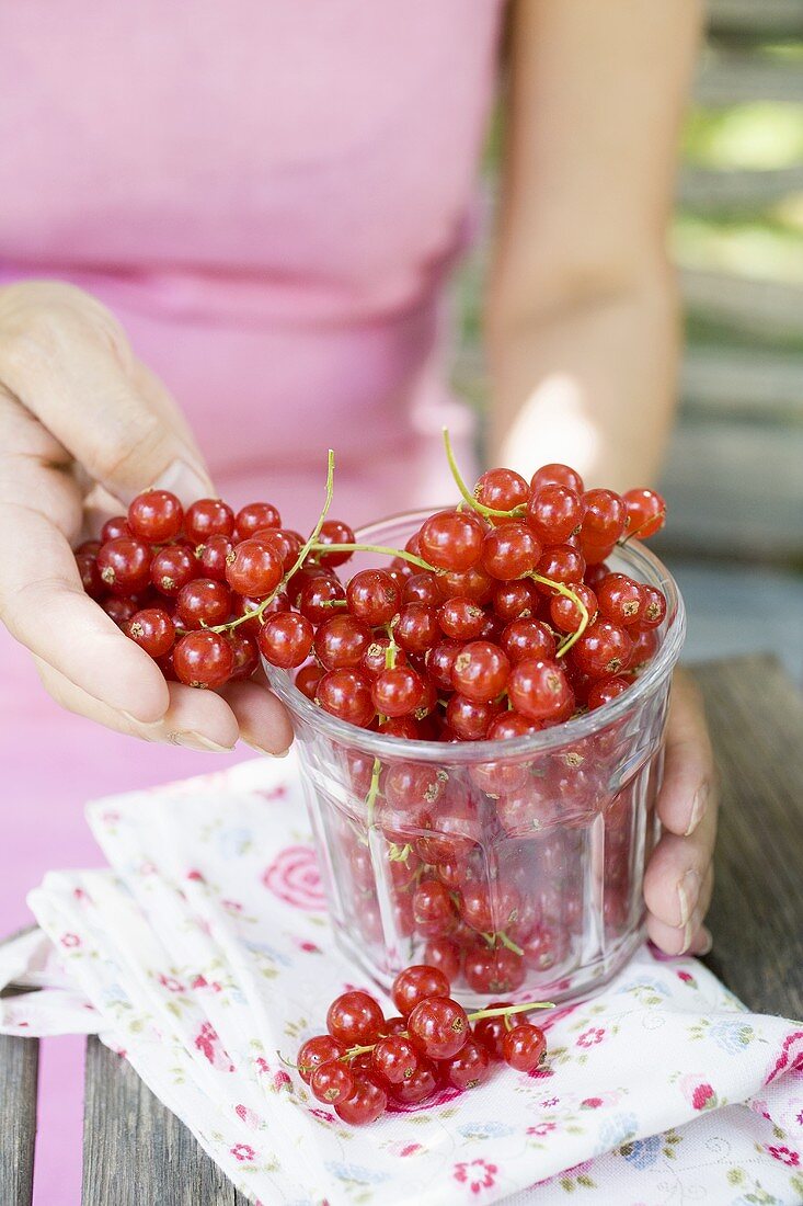 Hand hält rote Johannisbeeren