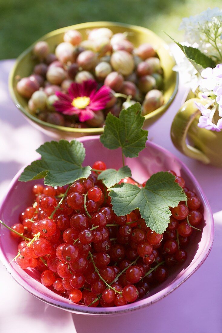 Rote Johannisbeeren & Stachelbeeren auf einem Tisch im Freien