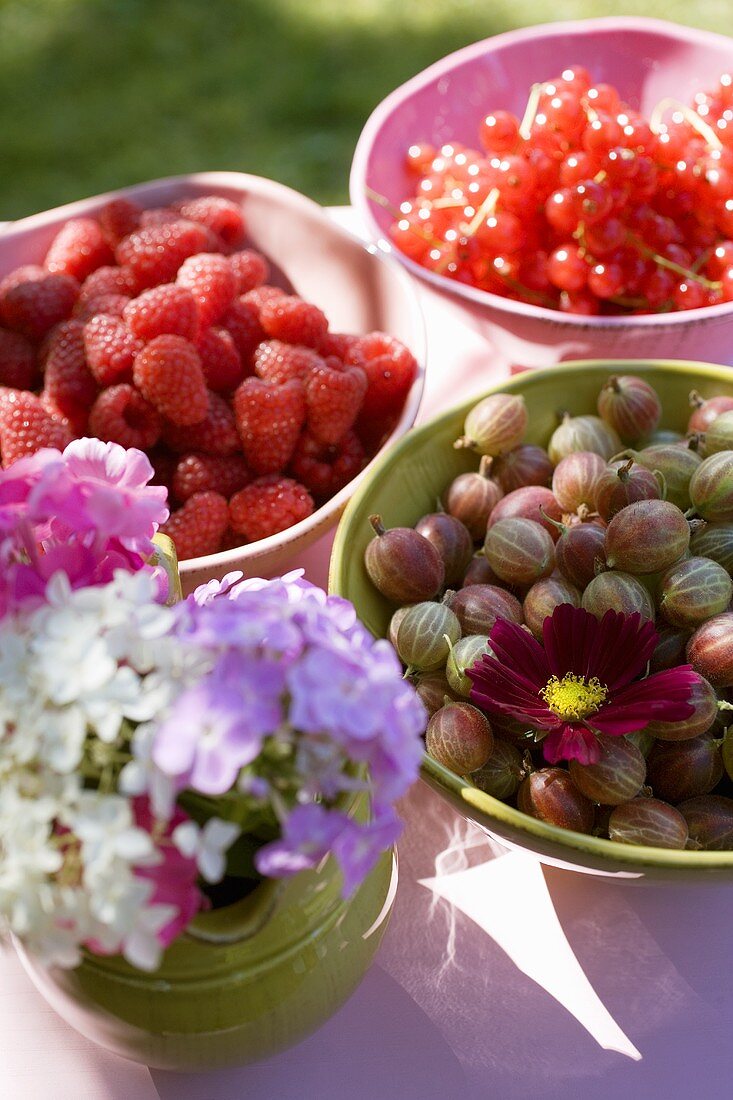 Fresh berries on a table in the open air