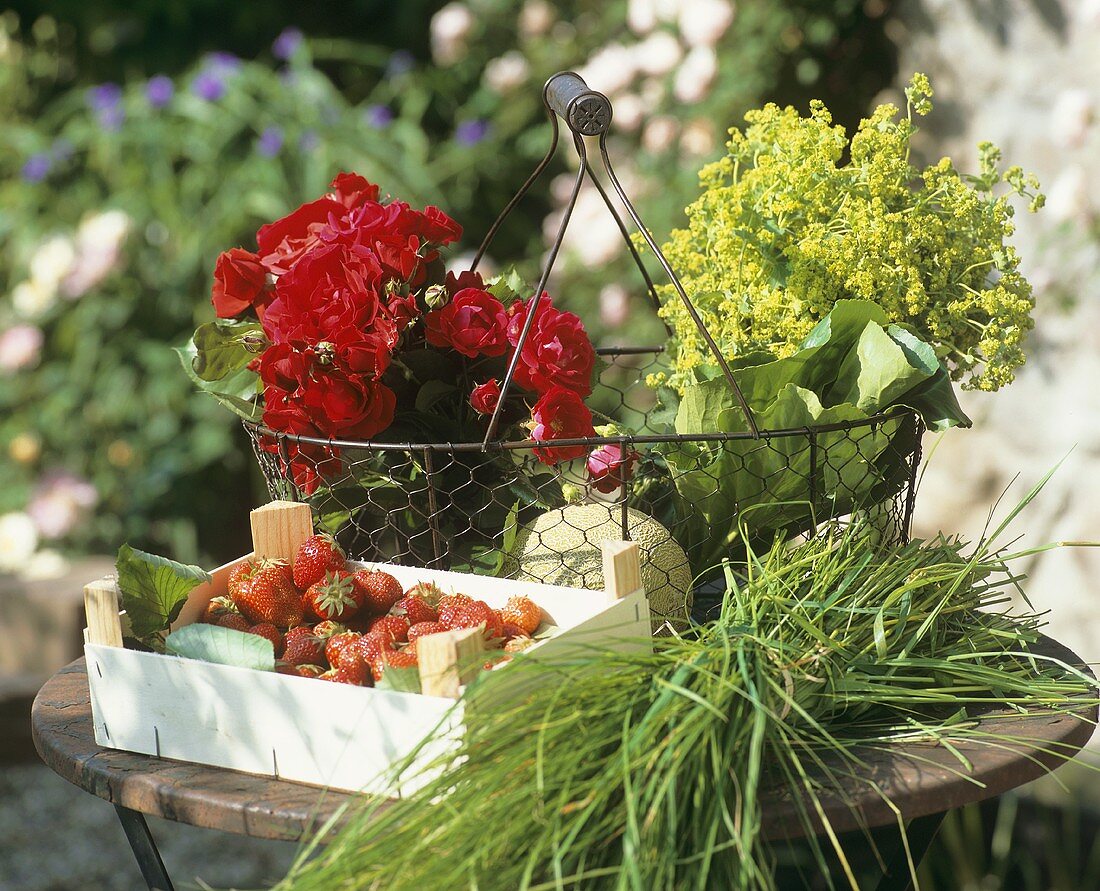 Strawberries, marram grass, roses, melon and lady's mantle