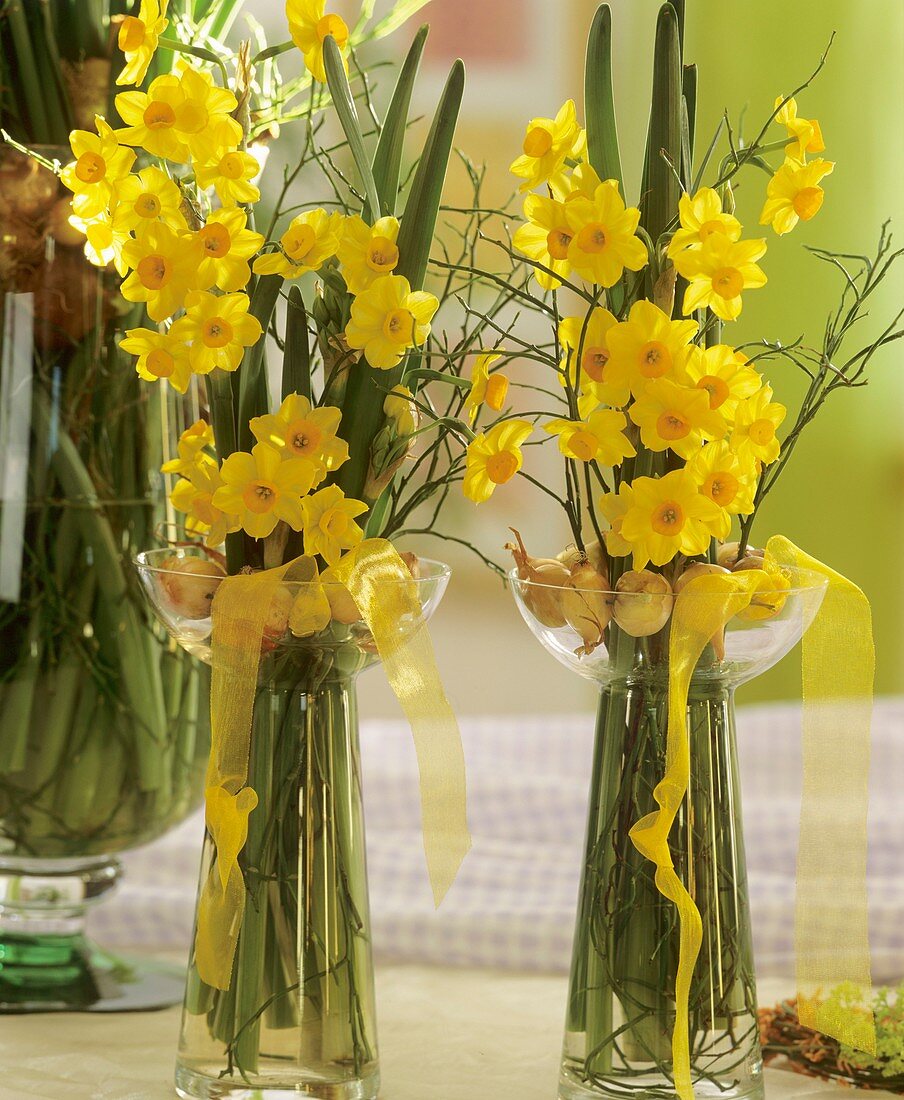 Narcissi in hyacinth glasses