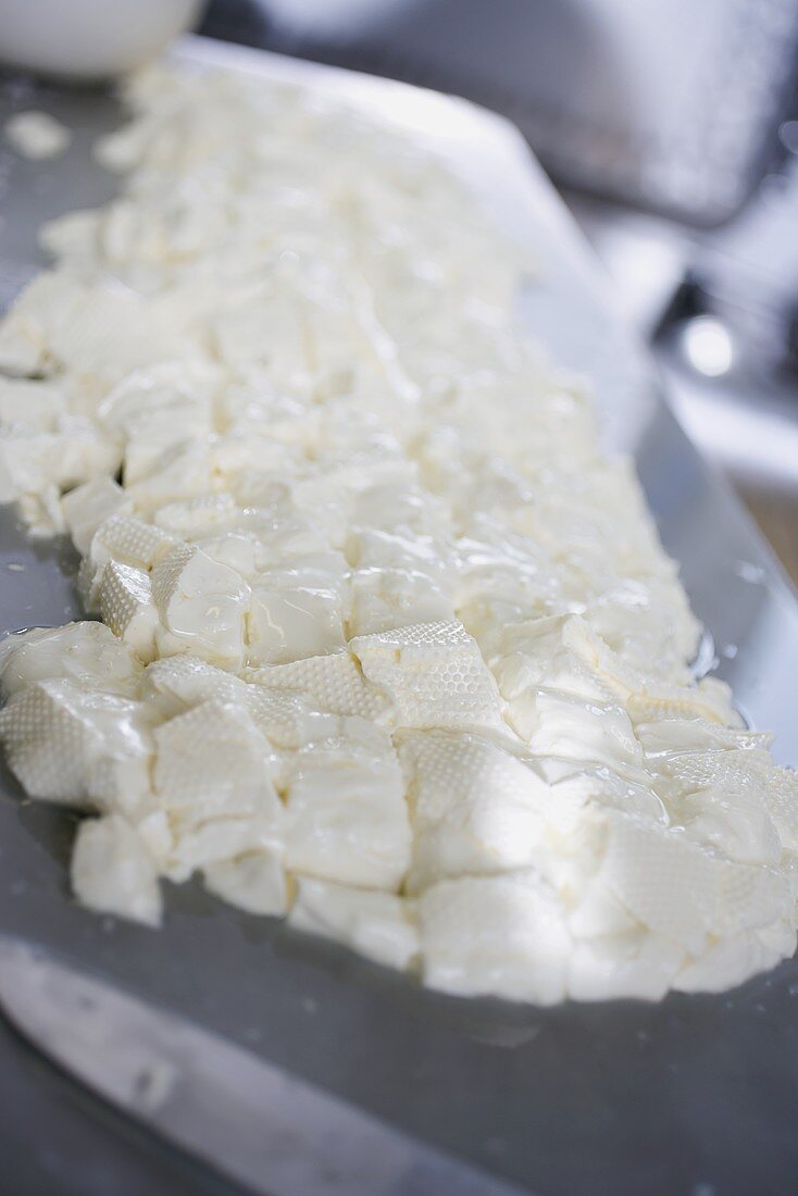 Mozzarella herstellen (Käsemasse)