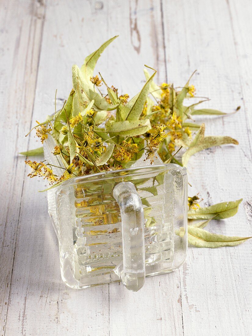 Lime flowers in a glass container