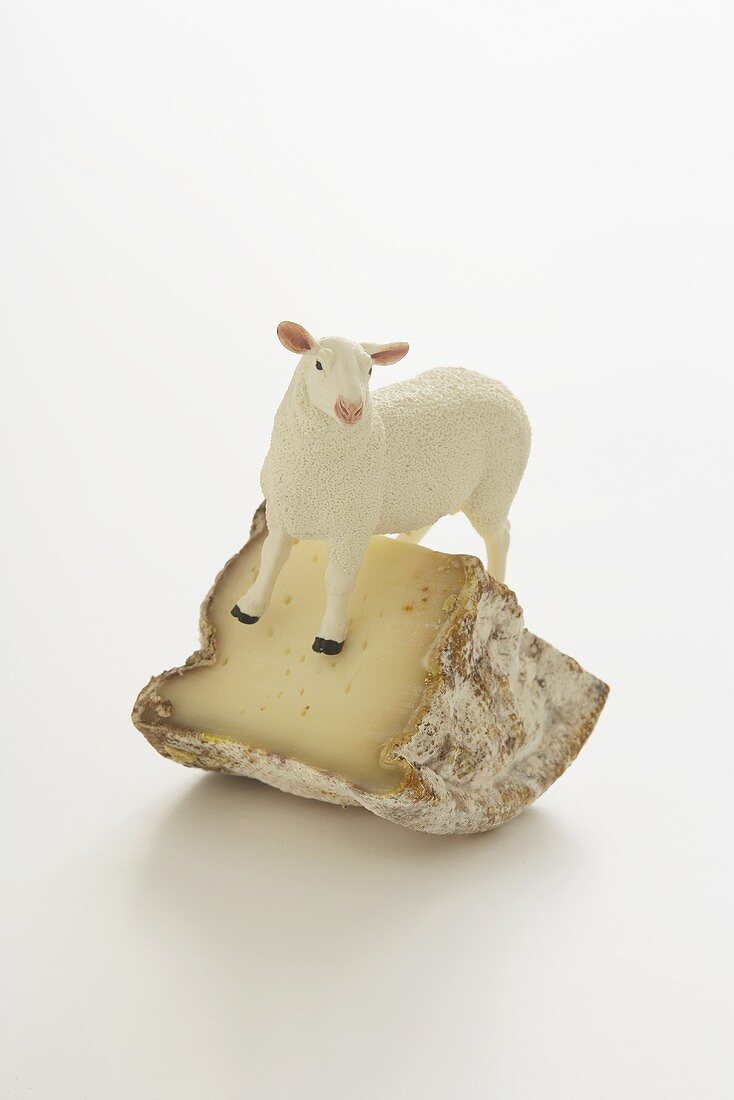 Piece of cheese (Brebis) with model sheep