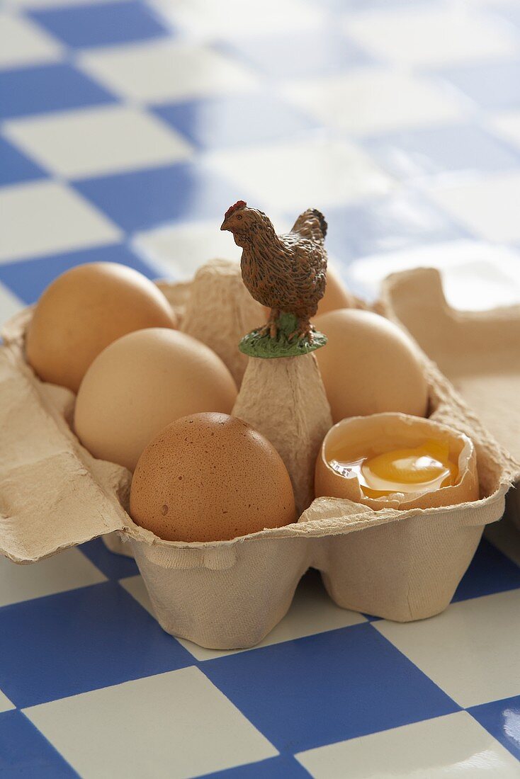 Eier im geöffneten Eierkarton mit Hühnerfigur