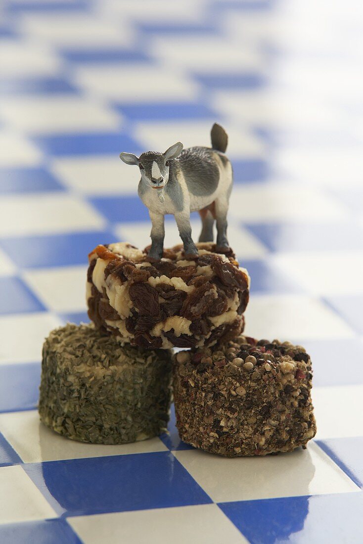 Three different goat cheeses with model goat