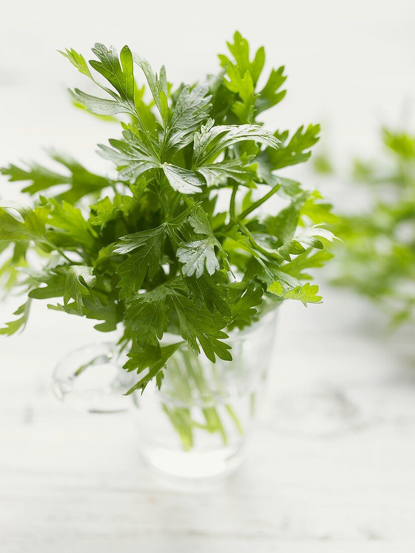 Fresh parsley in a glass of water