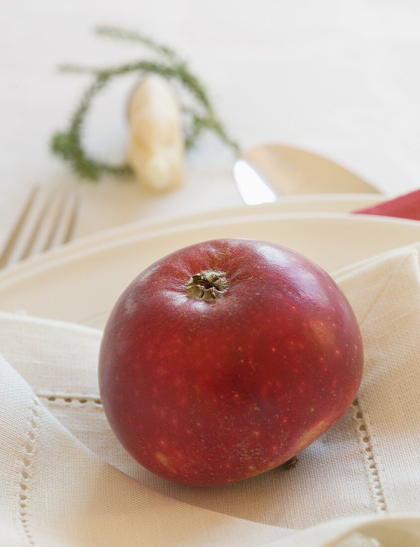 Weihnachtliches Gedeck mit rotem Apfel (Schweden)