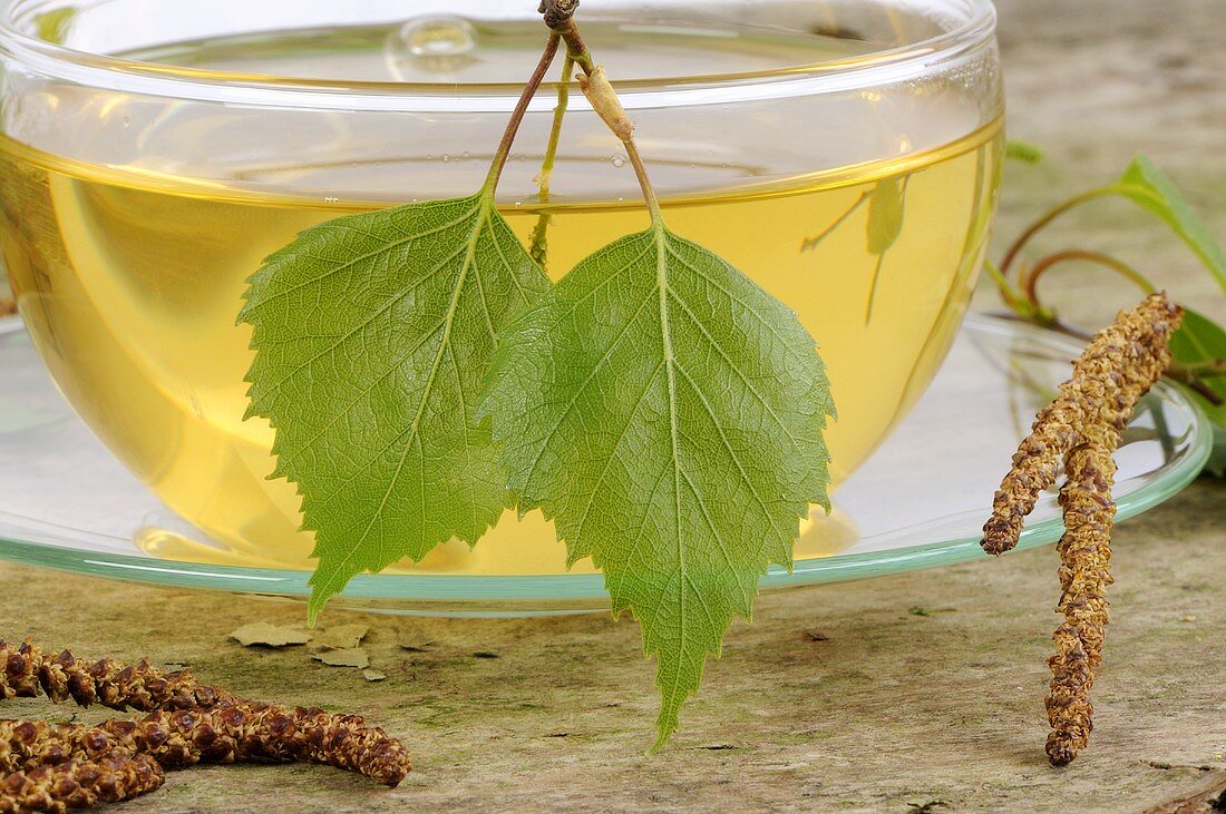 Birch leaf tea in glass cup