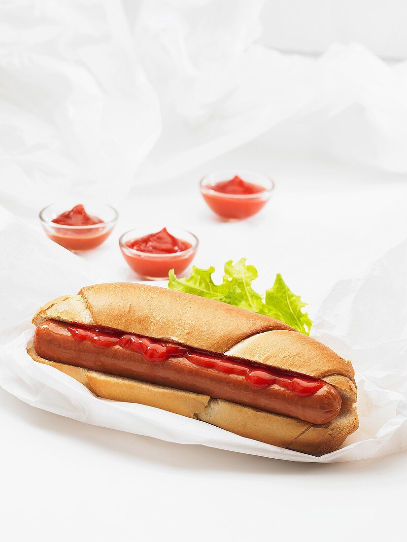 Hot Dog mit Ketchup