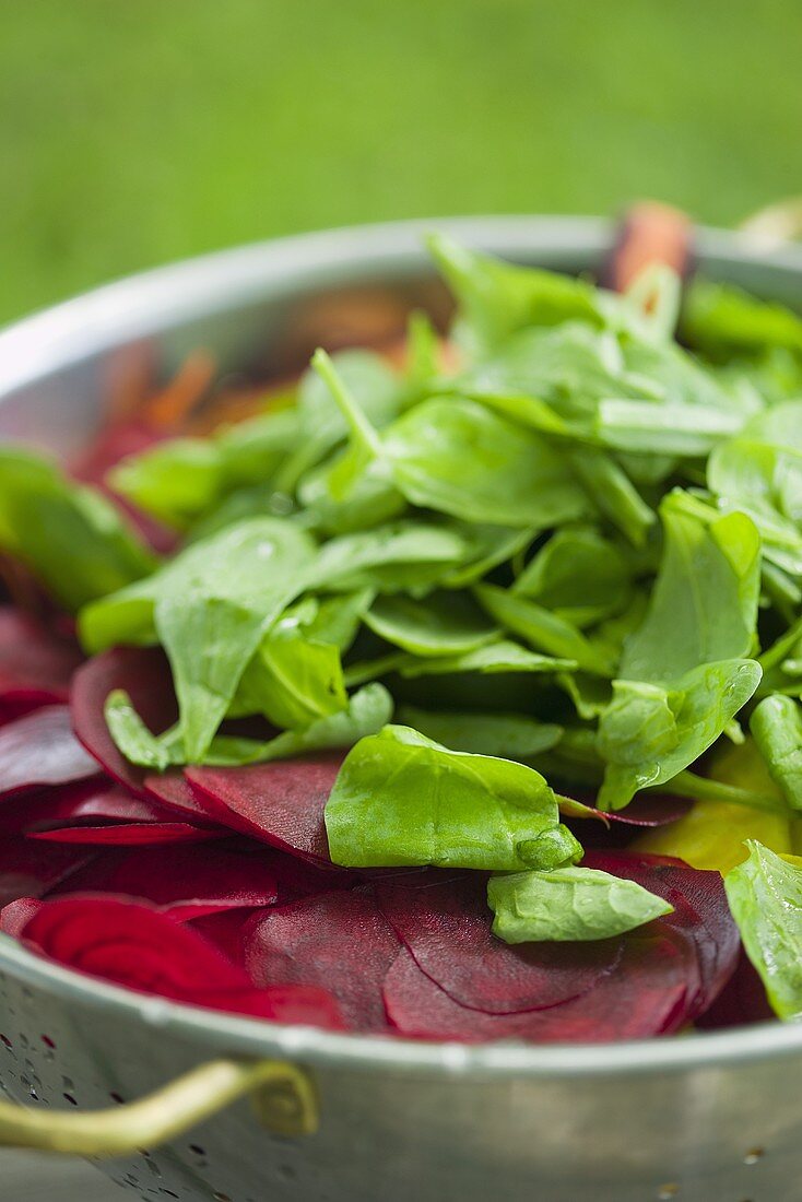 Salatzutaten im Küchensieb (Rote Bete, Spinat)