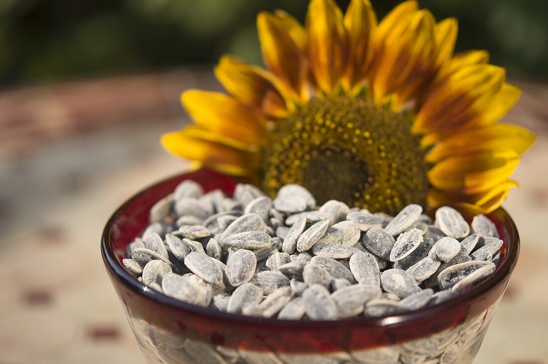 Sunflower seeds and sunflower in glass bowl