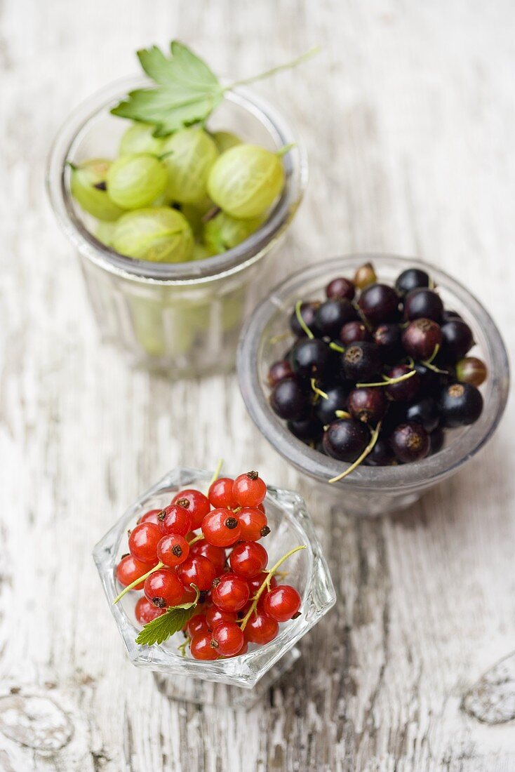Blackcurrants and gooseberries in glass dishes