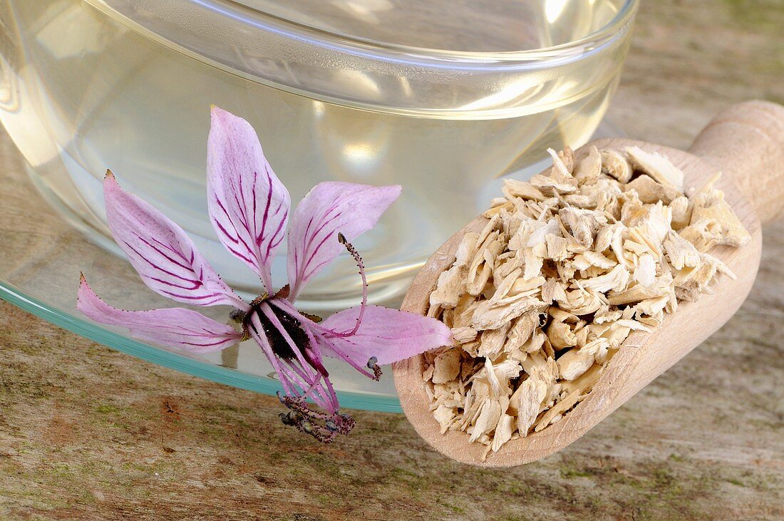 Cup of dittany tea, dried root and flower