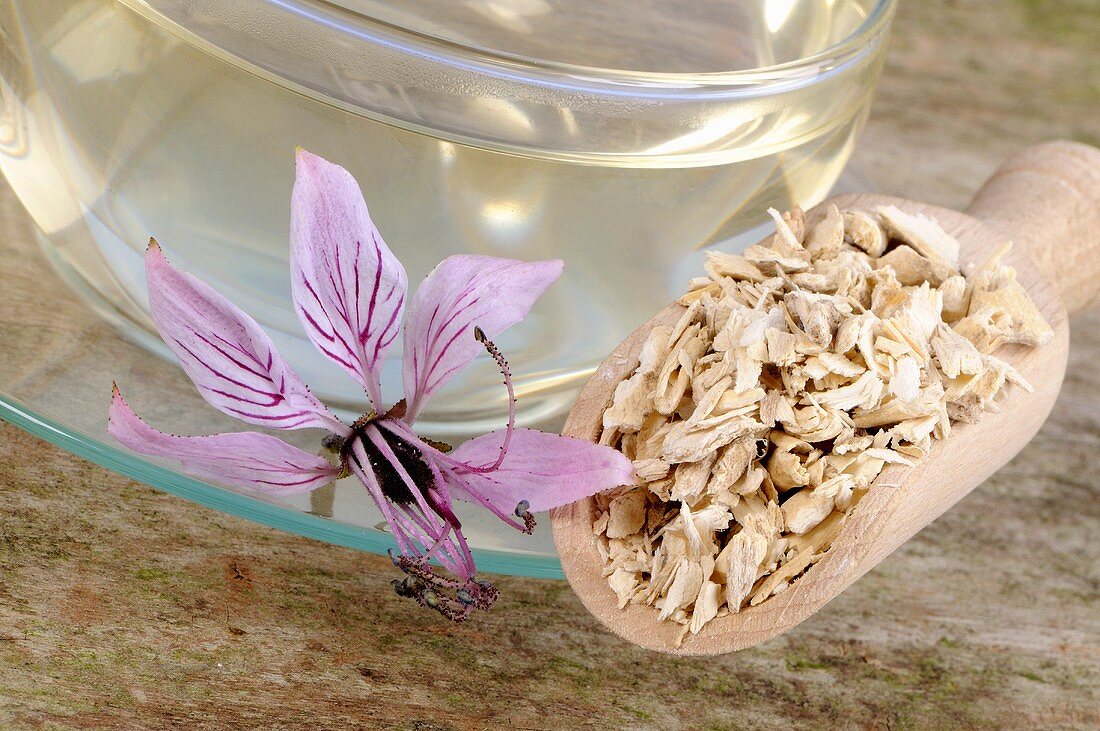 Tasse Diptamtee, getrocknete Wurzel und Blüte