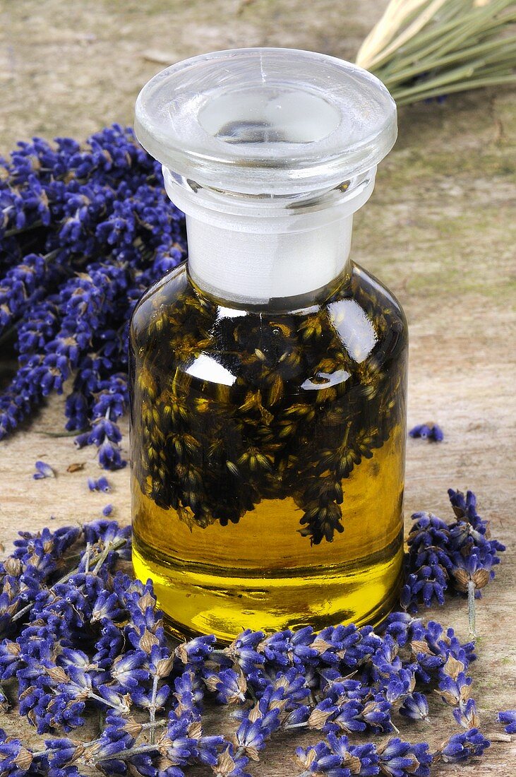 Lavender oil in apothecary bottle surrounded by lavender flowers