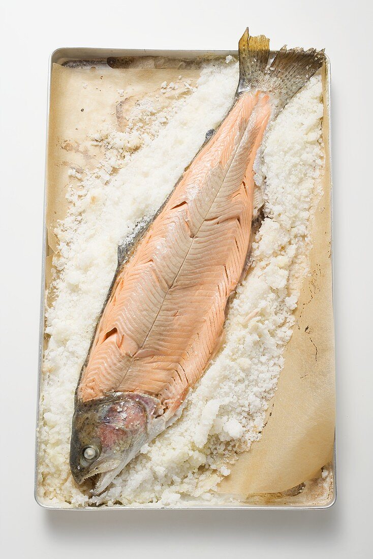 Salmon trout on a bed of salt on a baking tray
