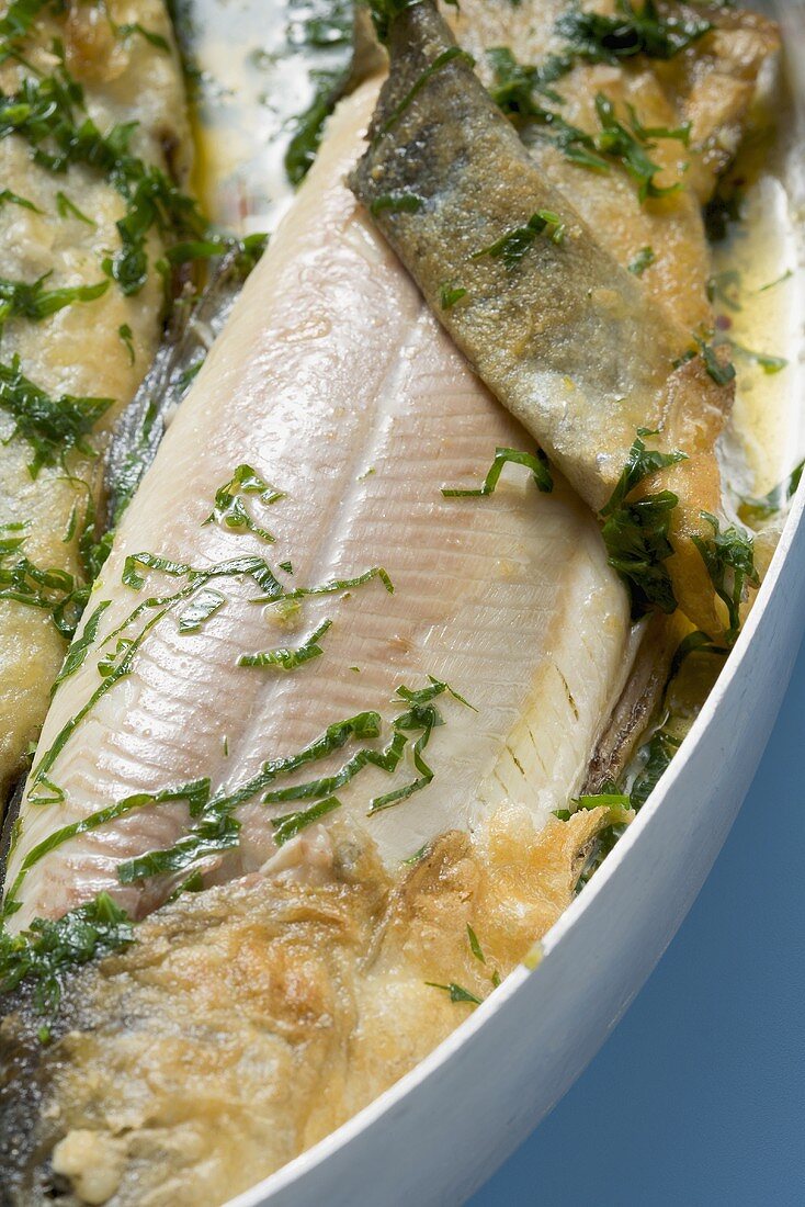Roast trout with herbs (close-up)
