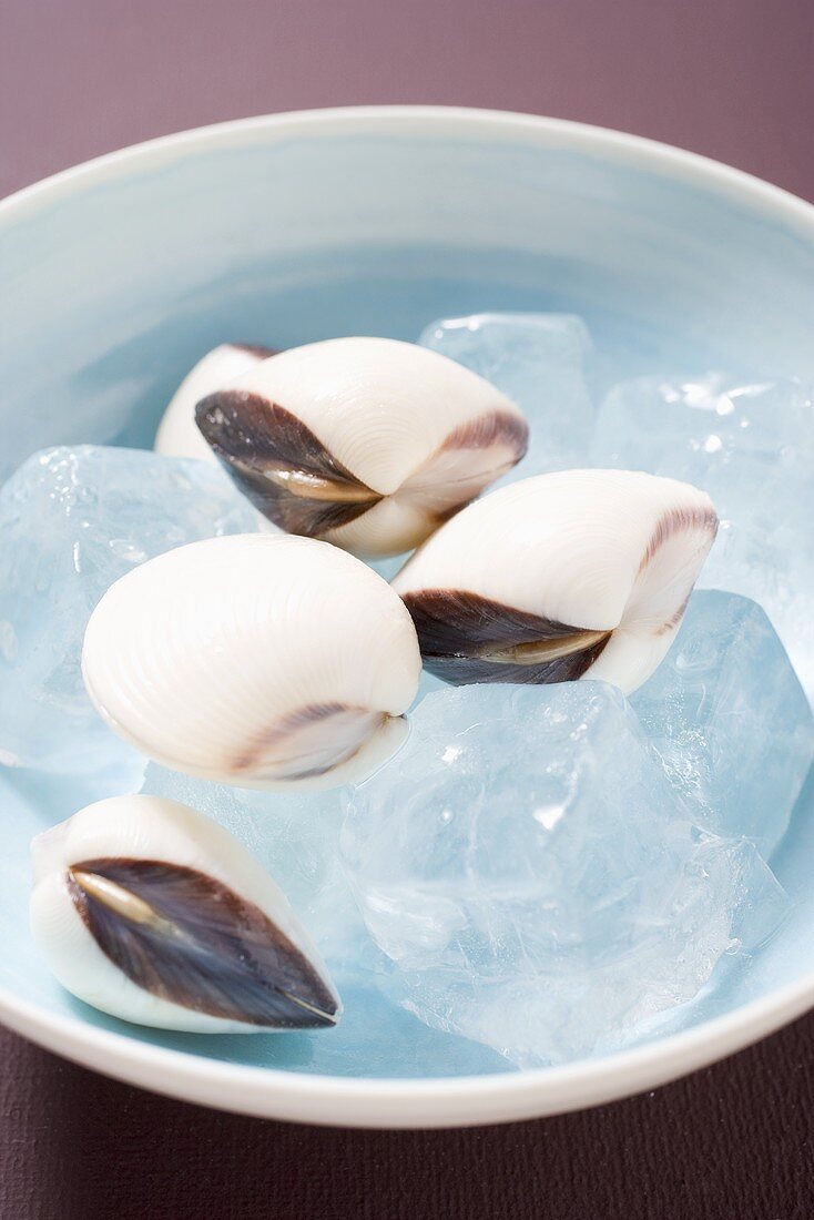 Asiatische Muscheln auf Eiswürfeln in einer Schale