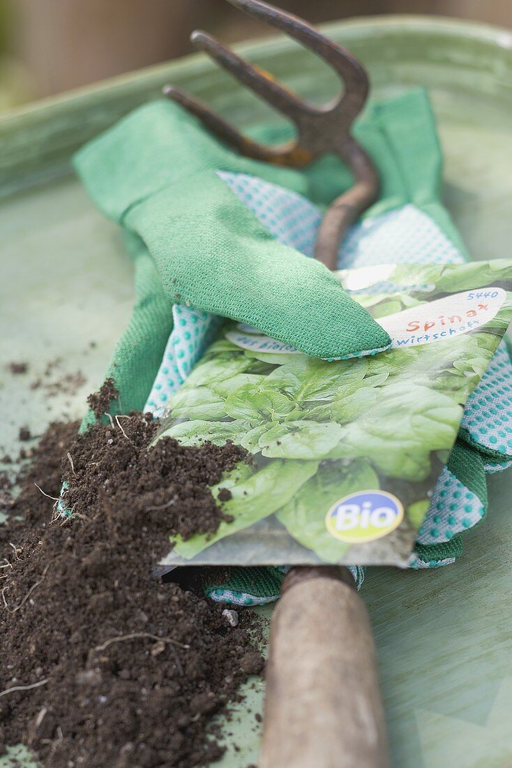 Bio-Spinatsamen in der Packung, Gartenutensilien und Erde