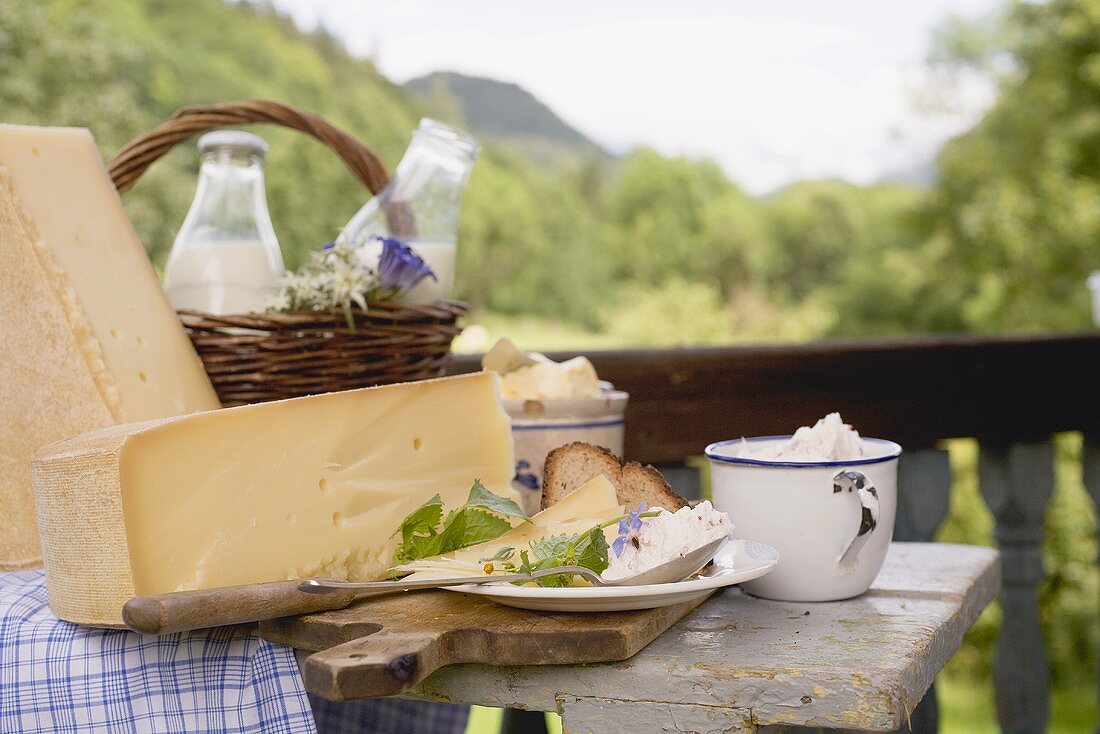 Rustic still life with cheese, quark, milk and bread