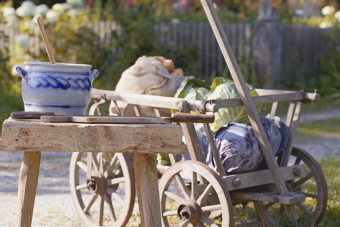 Potatoes & cabbages in cart, crock & shredder for sauerkraut