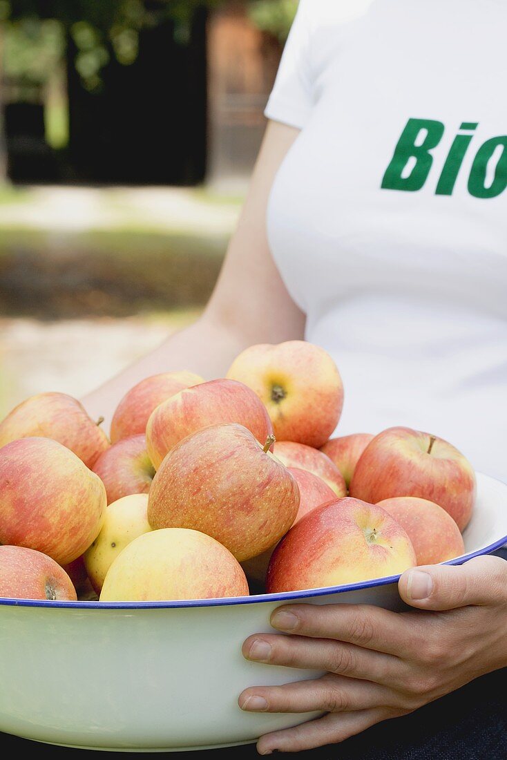 Frau hält frische Bio-Äpfel in einer Schüssel