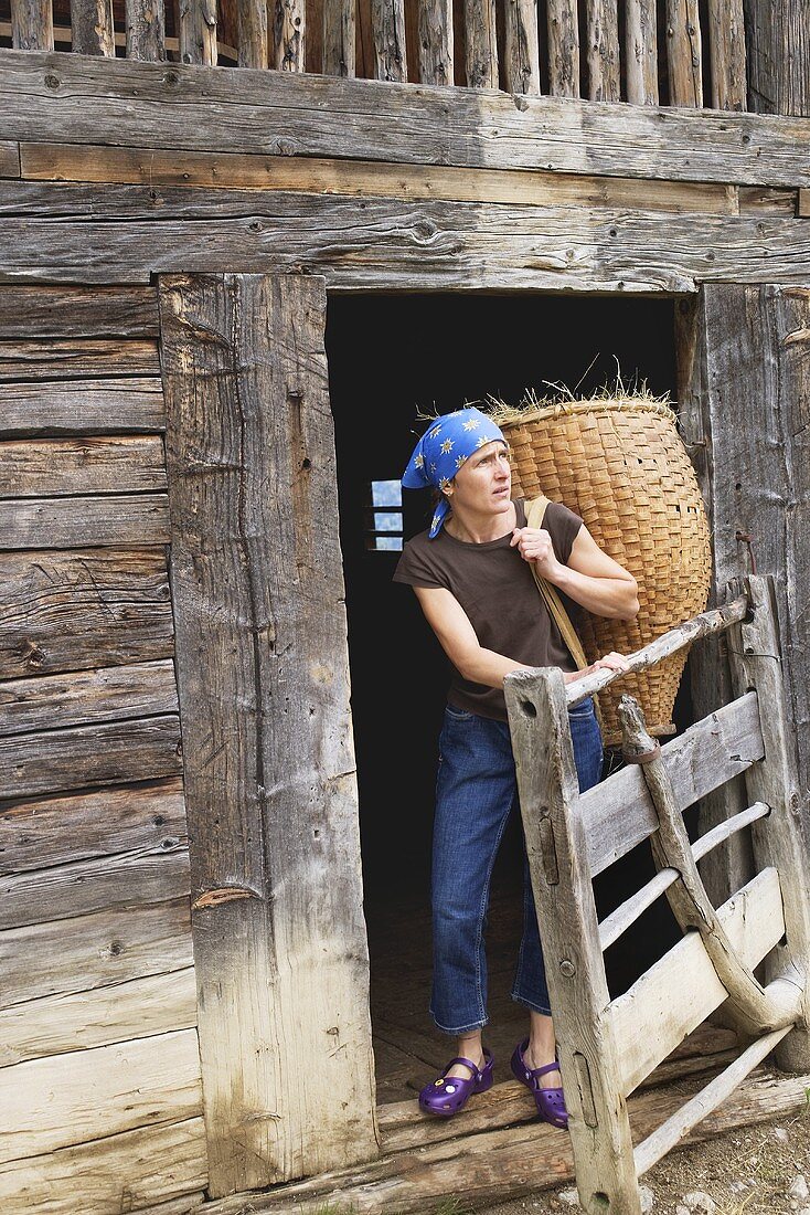 Modern farmer in front of old log cabin carrying a basket of hay on her back