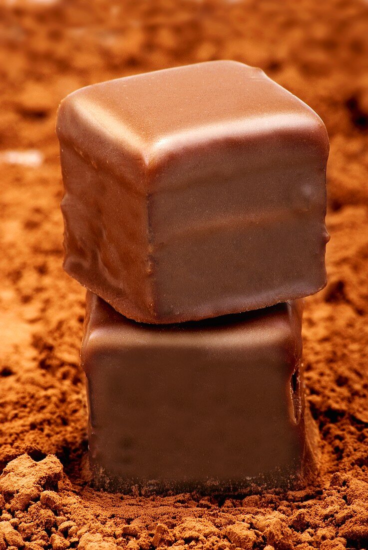 Zwei Dominosteine auf Kakaopulver